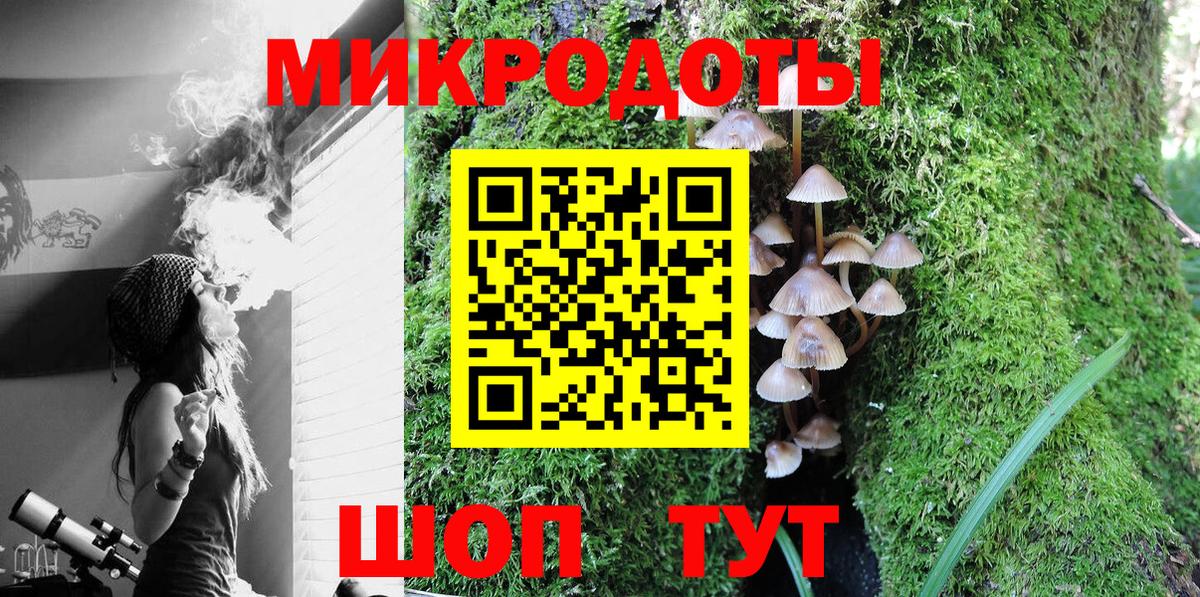Галлюциногенные грибы Psilocybe  Галлюциногенные грибы мицелий  Барнаул  Вход с VPN 
