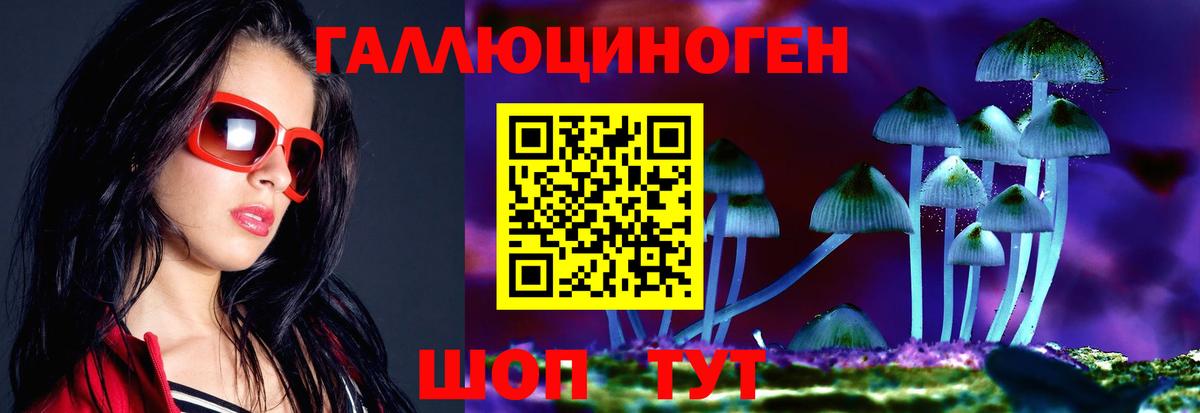 Псилоцибиновые грибы GOLDEN TEACHER Барнаул